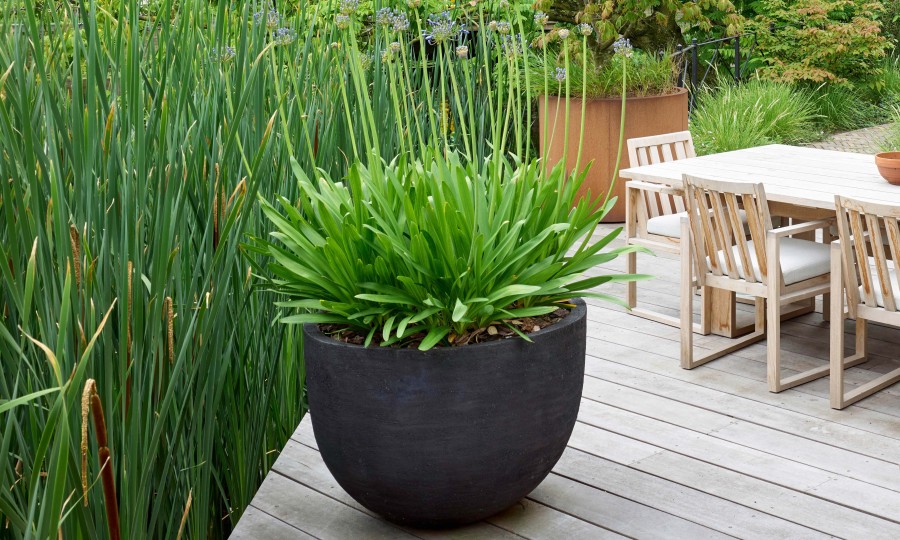 Van Haneghem Domani 20