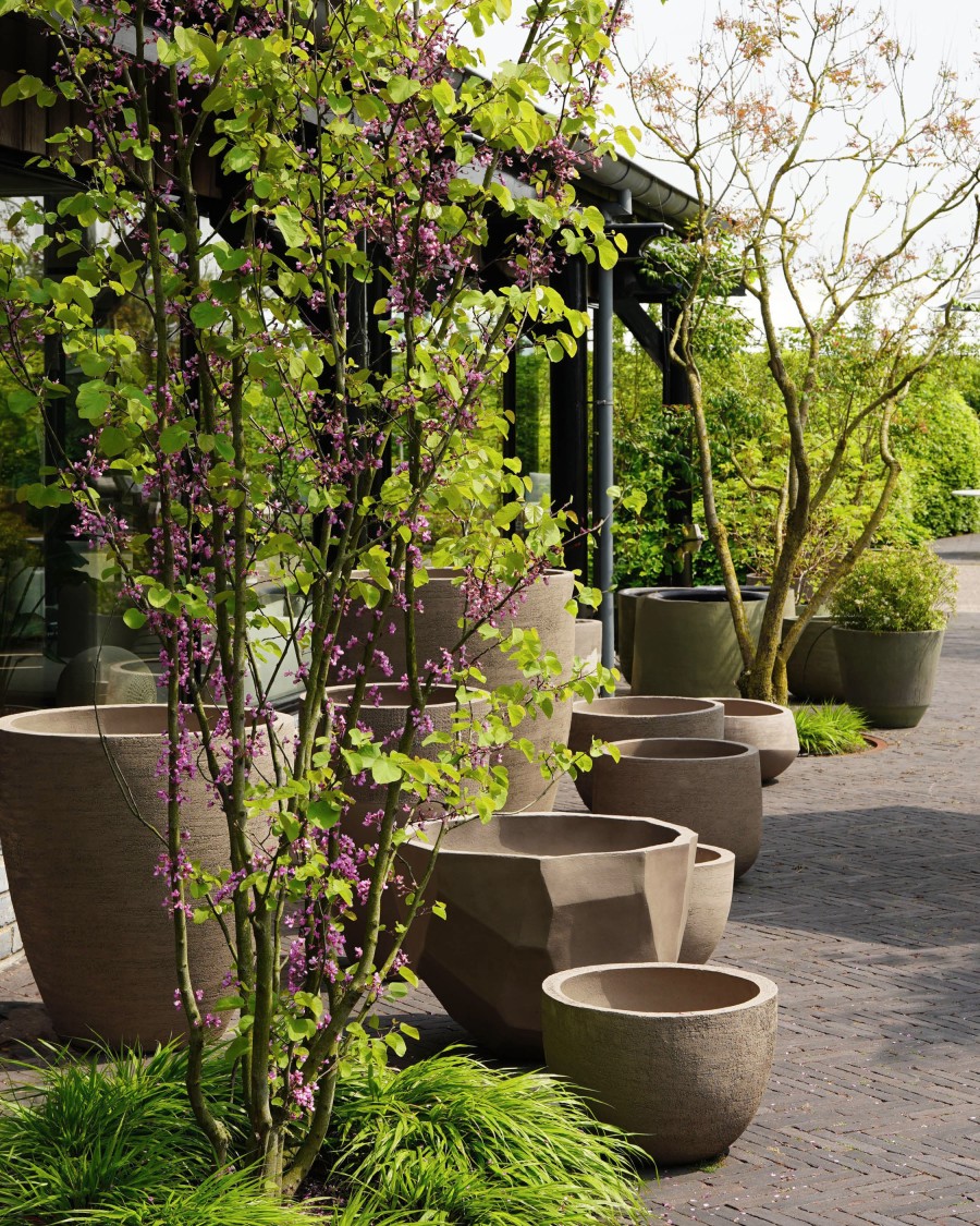 Van Haneghem Domani 22